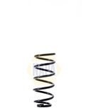NAPA Coil Spring Rear NCS1537