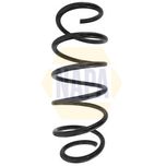 NAPA Coil Spring Front NCS1549