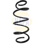 NAPA Coil Spring Front NCS1567
