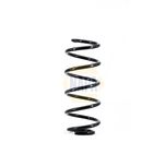 NAPA Coil Spring Front NCS1653