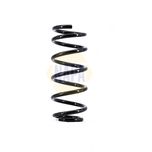 NAPA Coil Spring Rear NCS1661