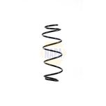 NAPA Coil Spring Front NCS1669