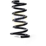NAPA Coil Spring Rear NCS1753
