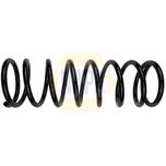 NAPA Coil Spring Rear NCS1808