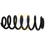 NAPA Coil Spring Rear NCS1855