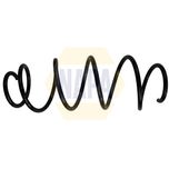 NAPA Coil Spring Front NCS1867