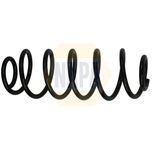 NAPA Coil Spring Rear NCS1953