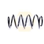 NAPA Coil Spring Front NCS2209
