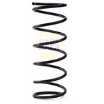 NAPA Coil Spring Front NCS2268