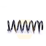 NAPA Coil Spring Rear NCS2290