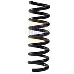 NAPA Coil Spring Rear NCS2303