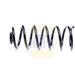 NAPA Coil Spring Rear NCS2309