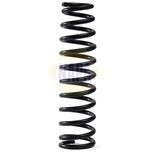 NAPA Coil Spring Front NCS2310