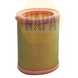 NAPA Air Filter NFA1307