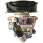 NAPA Power Steering Pump NPS1008