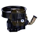 NAPA Power Steering Pump NPS1009