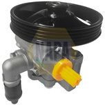 NAPA Power Steering Pump NPS1019