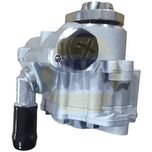 NAPA Power Steering Pump NPS1021