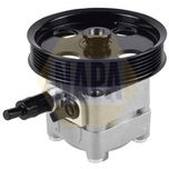 NAPA Power Steering Pump NPS1032