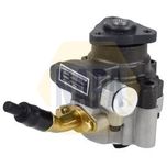 NAPA Power Steering Pump NPS1037