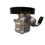 NAPA Power Steering Pump NPS1038