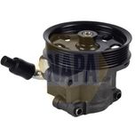 NAPA Power Steering Pump NPS1046