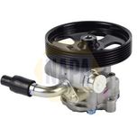 NAPA Power Steering Pump NPS1060