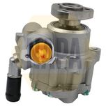 NAPA Power Steering Pump NPS1072