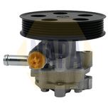 NAPA Power Steering Pump NPS1079