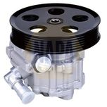 NAPA Power Steering Pump NPS1081