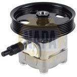 NAPA Power Steering Pump NPS1098
