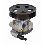 NAPA Power Steering Pump NPS1099