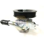 NAPA Power Steering Pump NPS1102