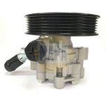 NAPA Power Steering Pump NPS1103