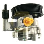 NAPA Power Steering Pump NPS1112