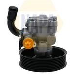 NAPA Power Steering Pump NPS1117