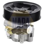 NAPA Power Steering Pump NPS1124