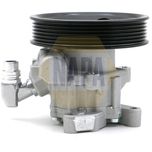 NAPA Power Steering Pump NPS1129
