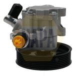 NAPA Power Steering Pump NPS1139
