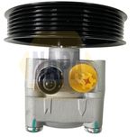 NAPA Power Steering Pump NPS1148