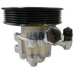 NAPA Power Steering Pump NPS1153