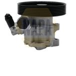 NAPA Power Steering Pump NPS1167
