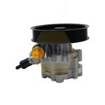 NAPA Power Steering Pump NPS1187