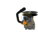 NAPA Power Steering Pump NPS1191