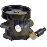 NAPA Power Steering Pump NPS1247