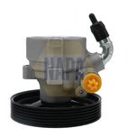 NAPA Power Steering Pump NPS1346