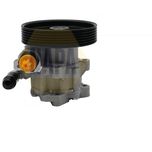 NAPA Power Steering Pump NPS1431