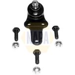 NAPA Ball Joint Lower NST0016