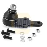 NAPA Ball Joint Lower NST0019