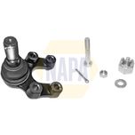 NAPA Ball Joint Lower NST0099